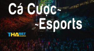 Cá Cược Esport Thabet - Tìm hiểu sân chơi siêu hấp dẫn hiện nay