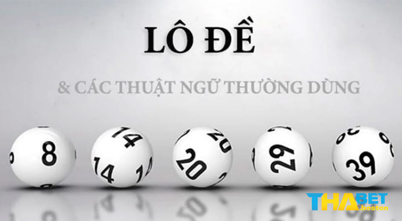 Thế nào là thuật ngữ lô đề?