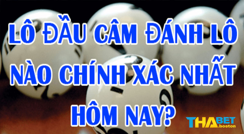 Lô đầu câm đánh con gì dễ trúng?